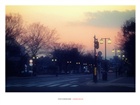 dailyPhoto35