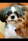 dailyPhoto1