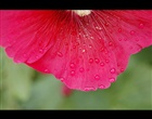 dailyPhoto5