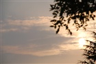 dailyPhoto36