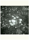 dailyPhoto17
