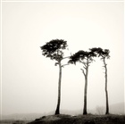 dailyPhoto34
