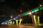 dailyPhoto9