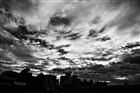 dailyPhoto11