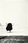 dailyPhoto9