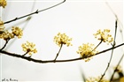 dailyPhoto30