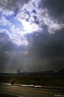 dailyPhoto11