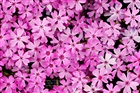 dailyPhoto20
