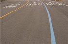 dailyPhoto8