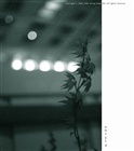 dailyPhoto17
