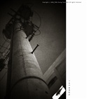 dailyPhoto16