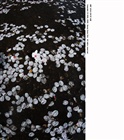dailyPhoto8