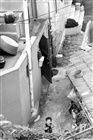 dailyPhoto3
