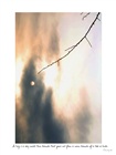 dailyPhoto20