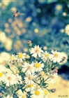 dailyPhoto21