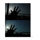 dailyPhoto7