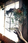 dailyPhoto20