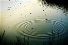 dailyPhoto14