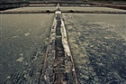 dailyPhoto6