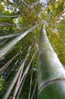 dailyPhoto37