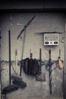 dailyPhoto1