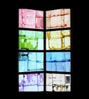 dailyPhoto27