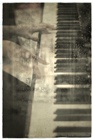 dailyPhoto14