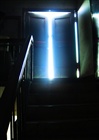 dailyPhoto3