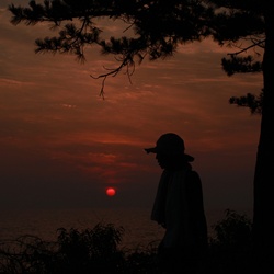 dailyPhoto7