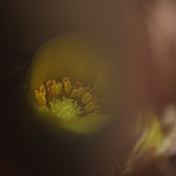 dailyPhoto22