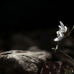 dailyPhoto5
