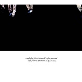 dailyPhoto12