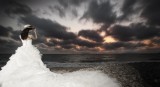 dailyPhoto36