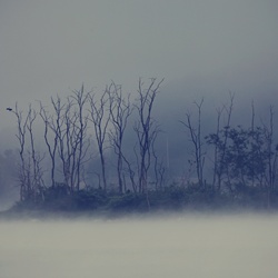 dailyPhoto7