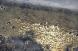 dailyPhoto6