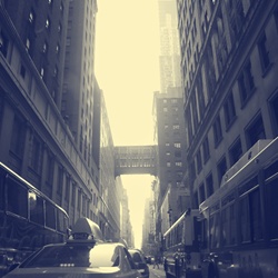 dailyPhoto19