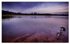 dailyPhoto22