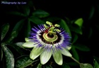 dailyPhoto1