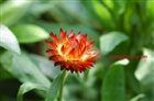 dailyPhoto22