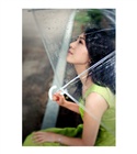dailyPhoto3