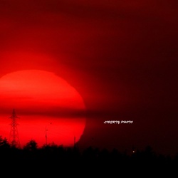 dailyPhoto12