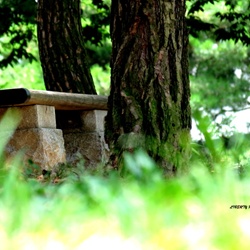 dailyPhoto12
