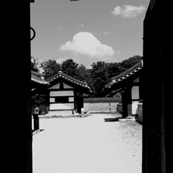 dailyPhoto5