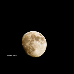 dailyPhoto4