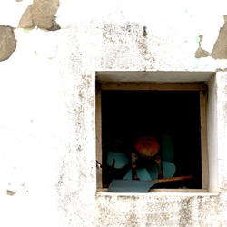 dailyPhoto32