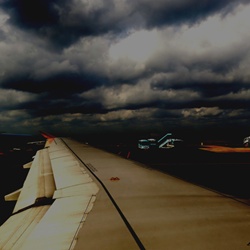 dailyPhoto4