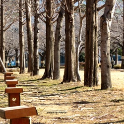 dailyPhoto9