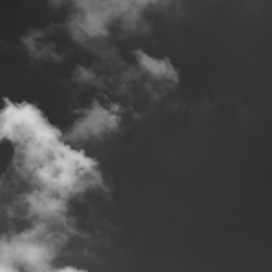 dailyPhoto21