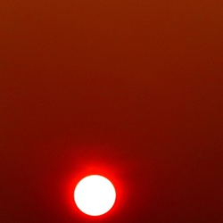 dailyPhoto12