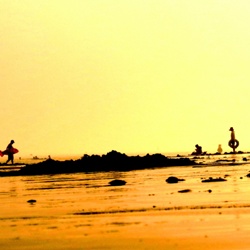 dailyPhoto10